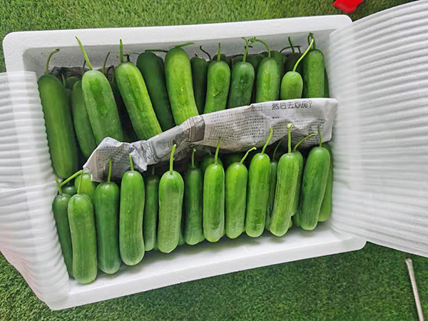 粮油配送公司教你花生油储存方法？
